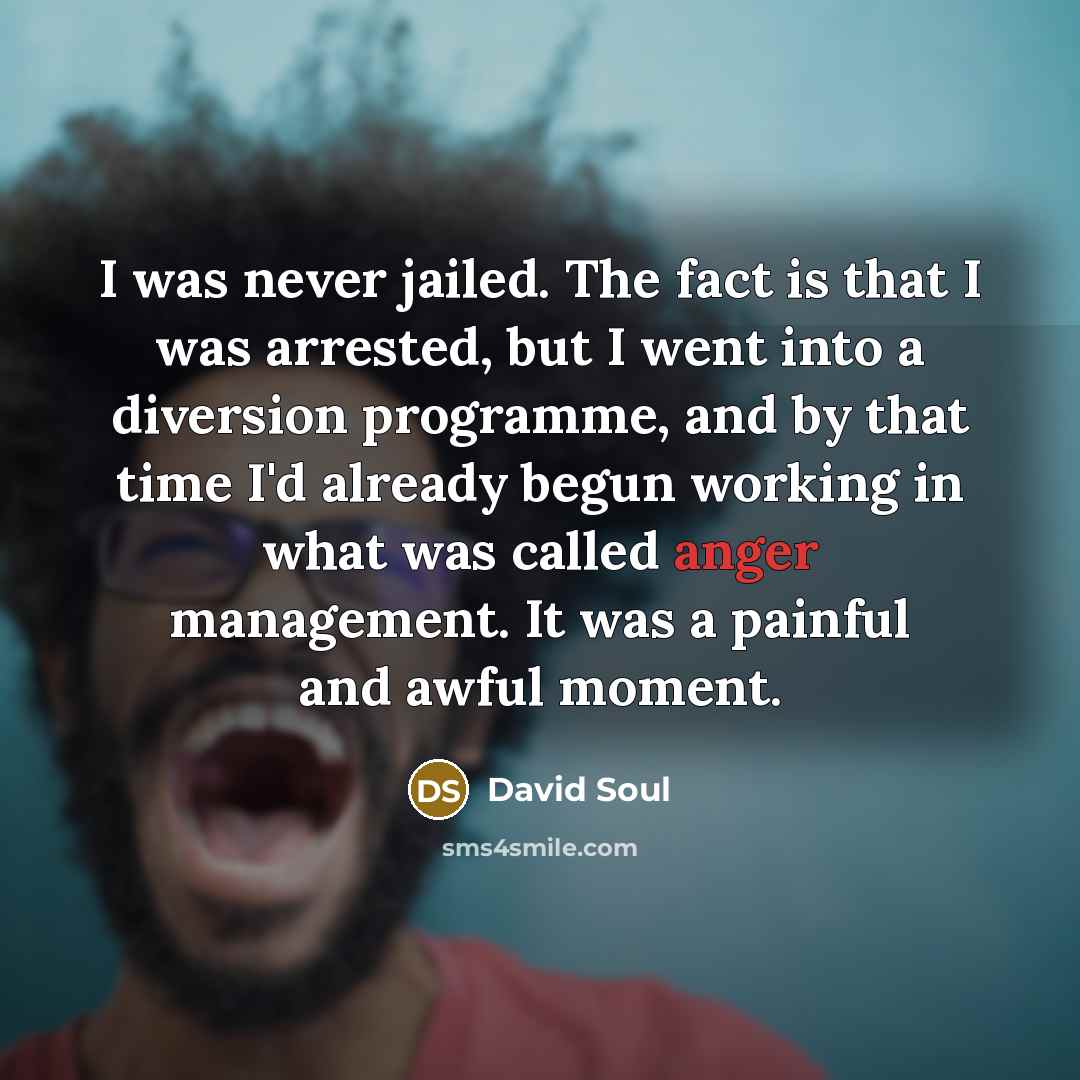“I was never jailed. The fact is that I was…” quote by David Soul