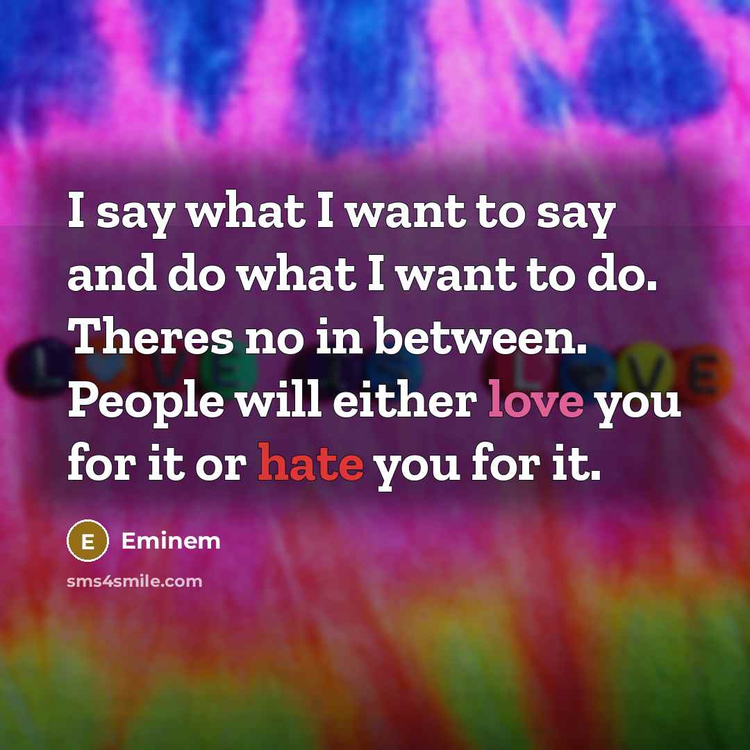 “I say what I want to say and do what…” quote by Eminem