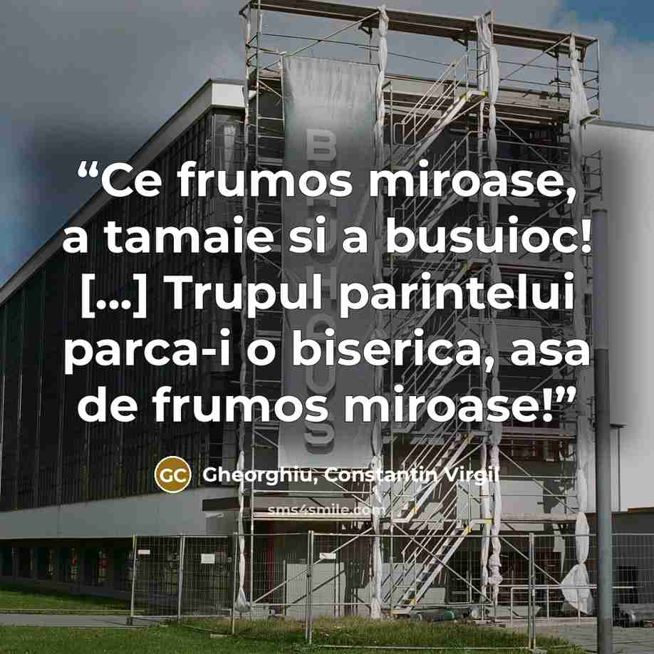 “Ce frumos miroase, a tamaie si a busuioc! [...] Trupul parintelui parca-i o biserica, asa de frumos miroase!” quote by Gheorghiu, Constantin Virgil