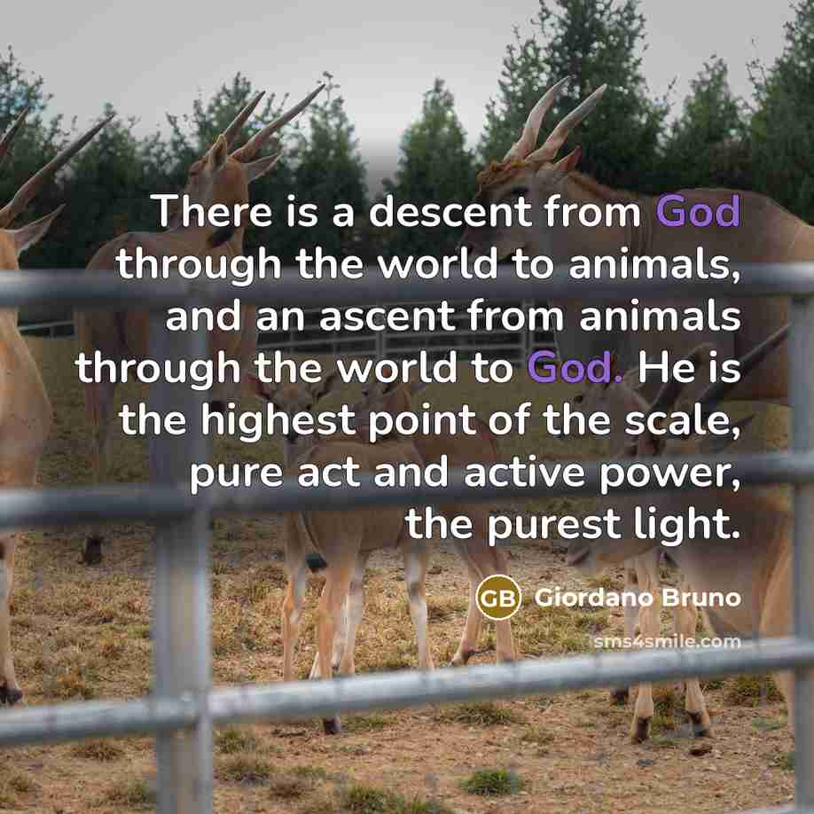 “There is a descent from God through the world to…” quote by Giordano Bruno