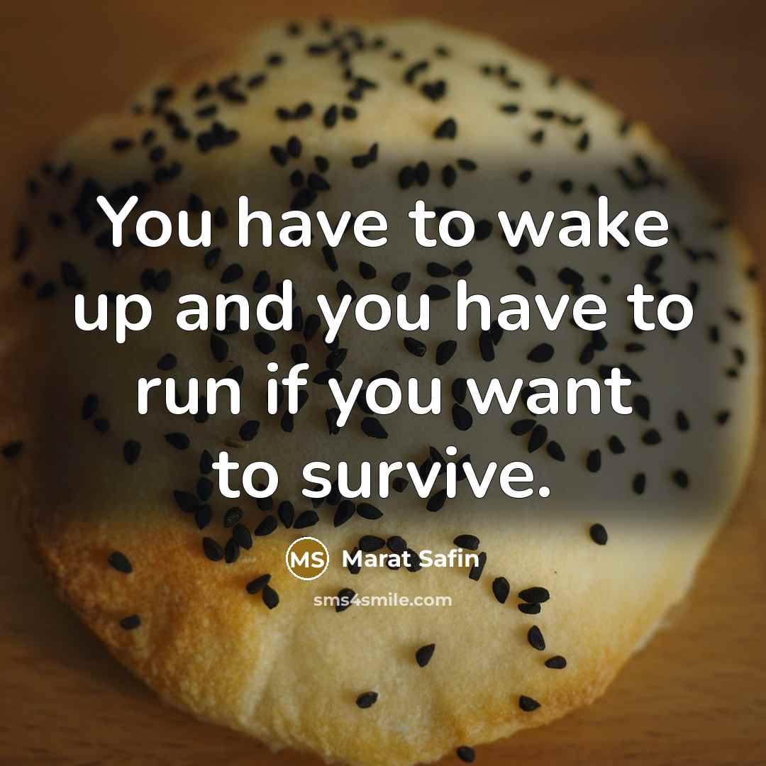 “You have to wake up and you have to run…” quote by Marat Safin