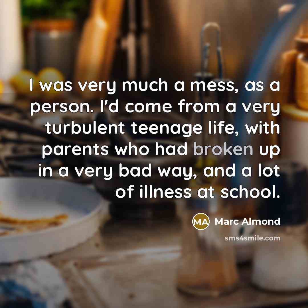 “I was very much a mess, as a person. I'd…” quote by Marc Almond