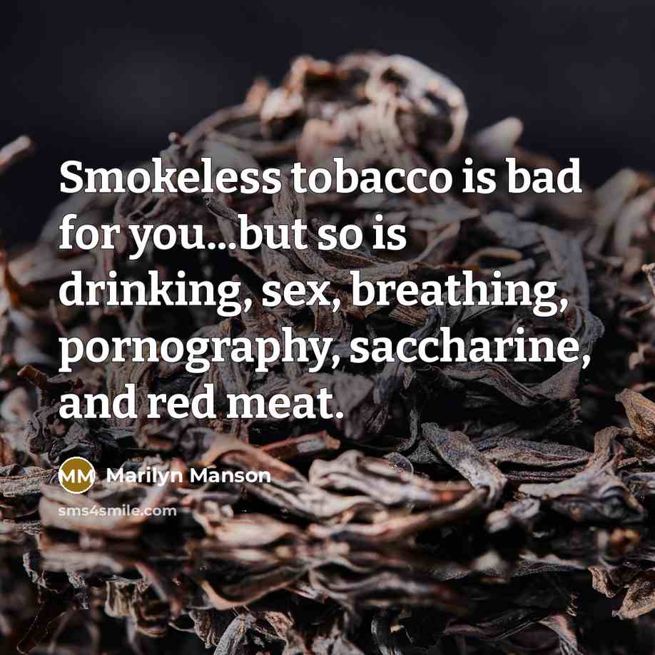 “Smokeless tobacco is bad for you...but so is drinking, sex,…” quote by Marilyn Manson