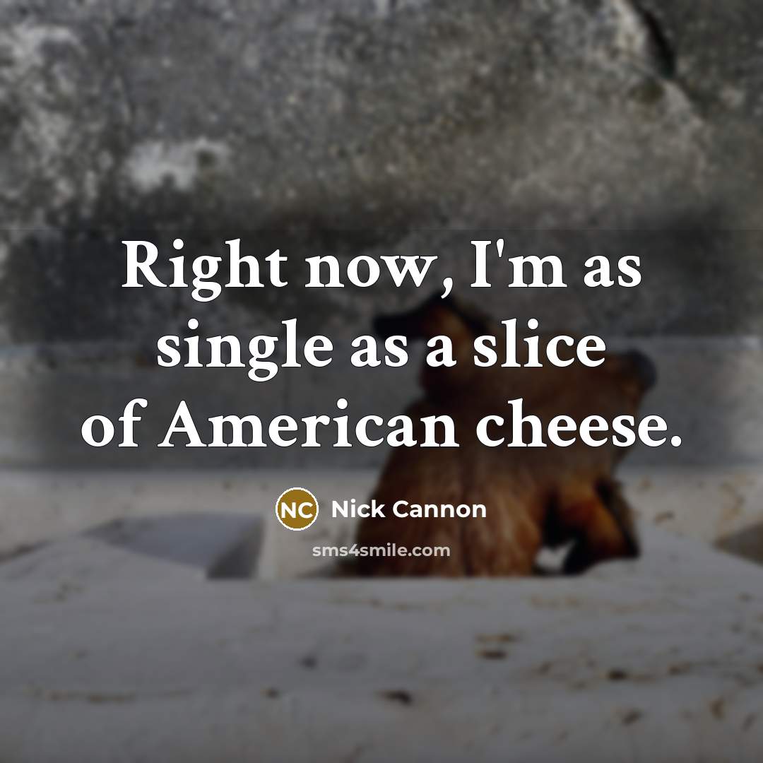 “Right now, I'm as single as a slice of American…” quote by Nick Cannon