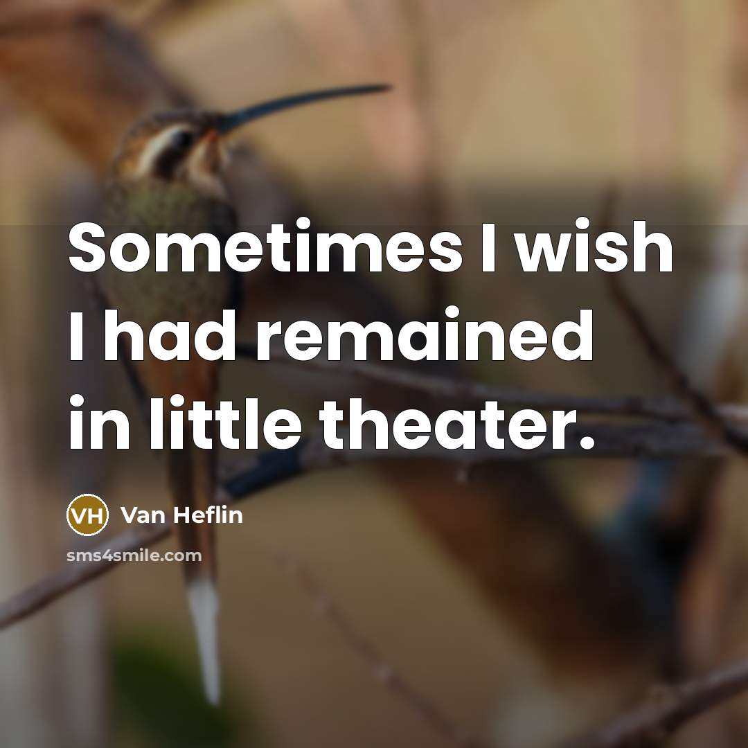 “Sometimes I wish I had remained in little theater.…” quote by Van Heflin