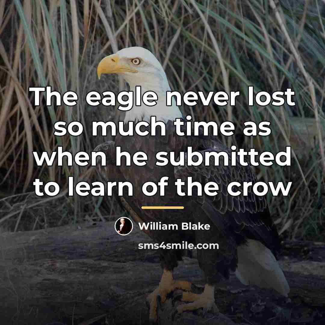 “The eagle never lost so much time as when he…” quote by William Blake