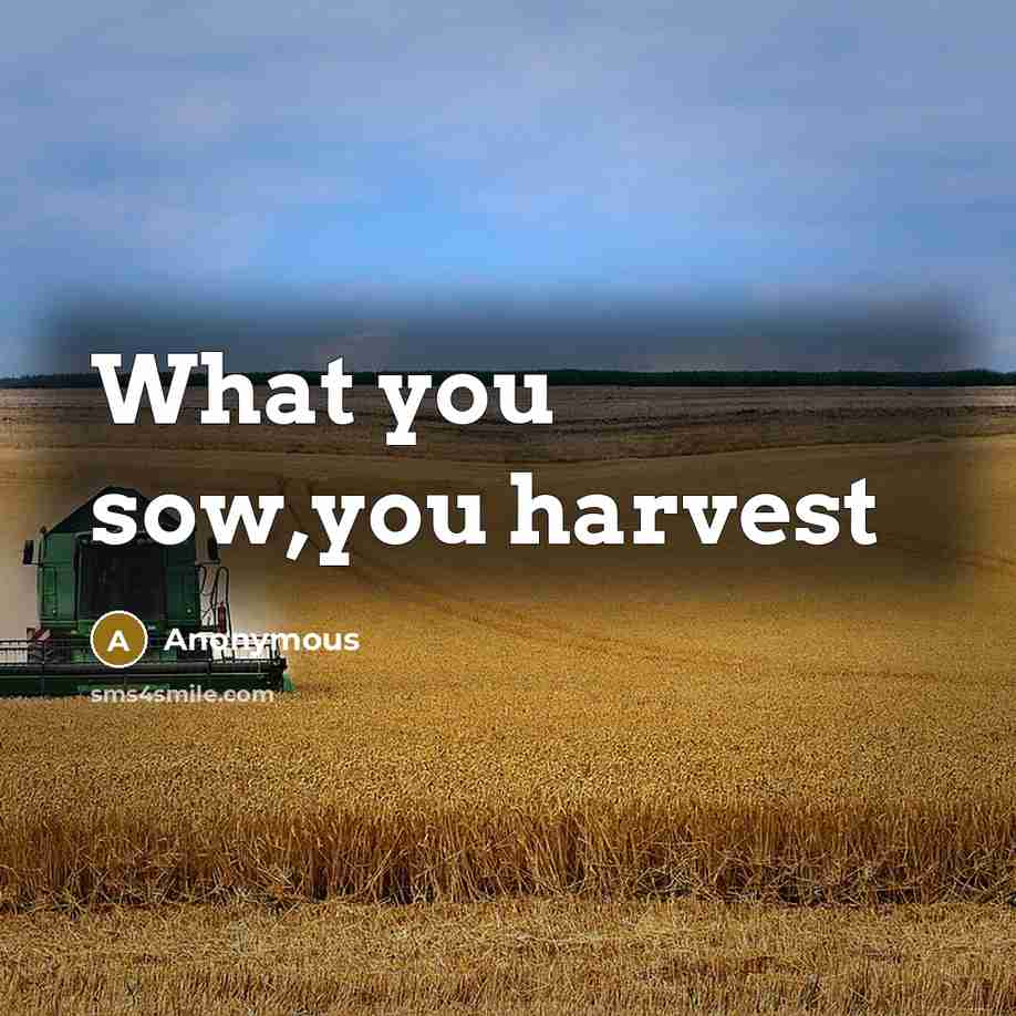 “What you sow,you harvest…” quote by Anonymous