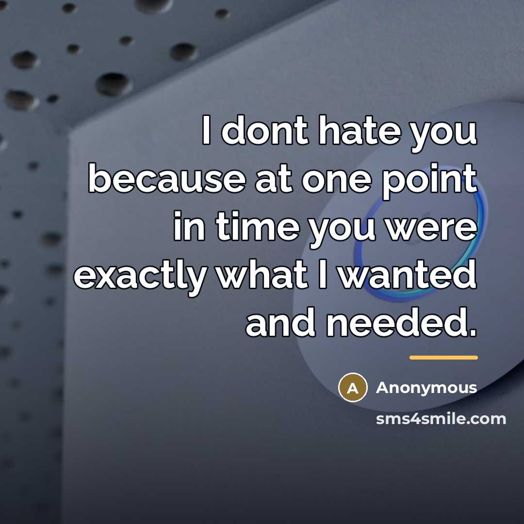 “I dont hate you because at one point in time…” quote by Anonymous