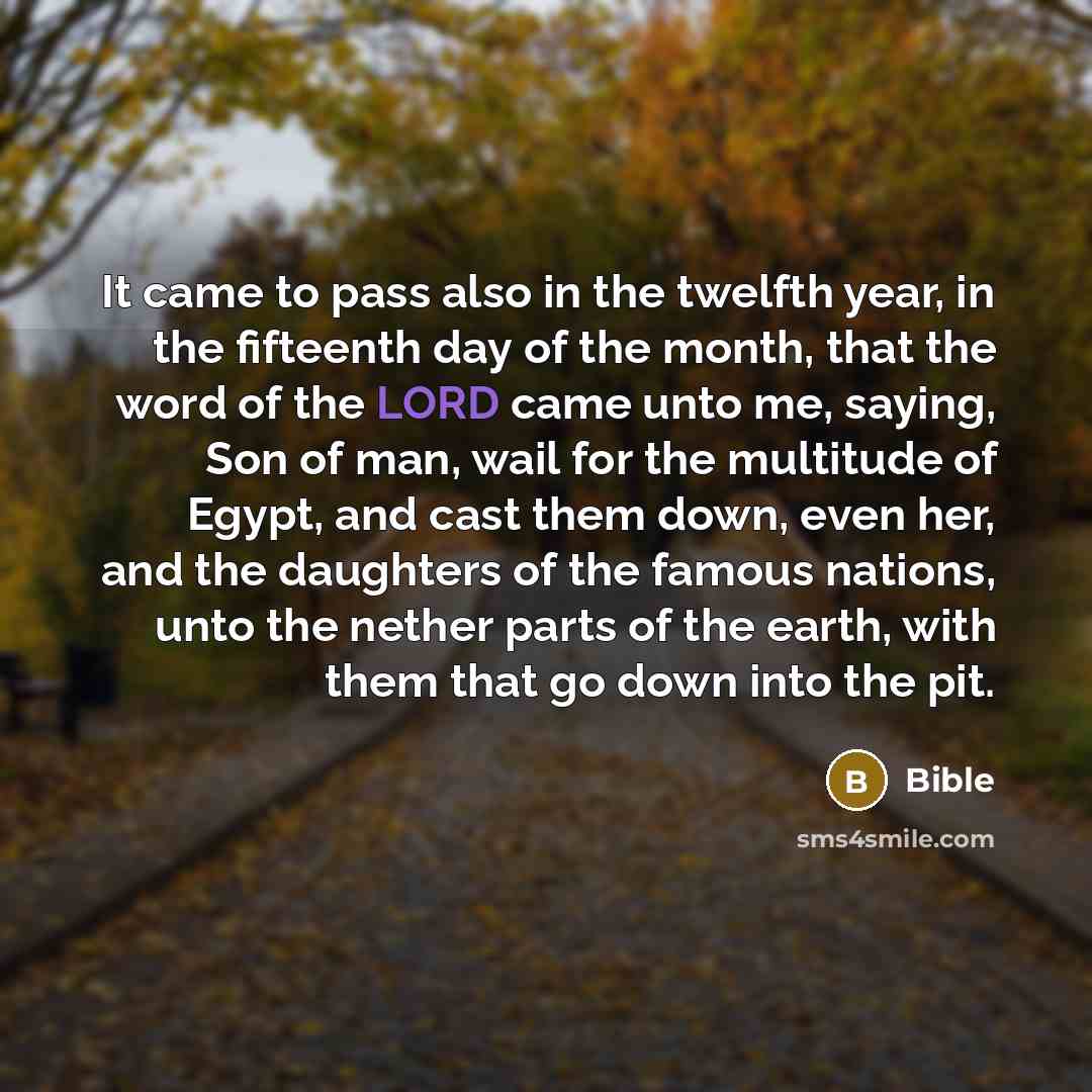 “It came to pass also in the twelfth year, in…” quote by Bible