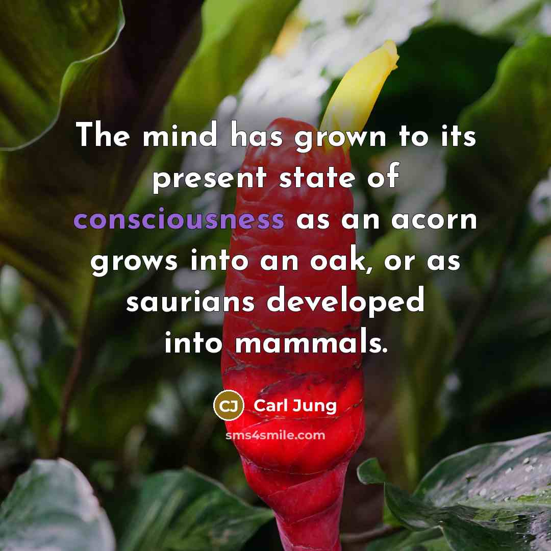 “The mind has grown to its present state of consciousness…” quote by Carl Jung