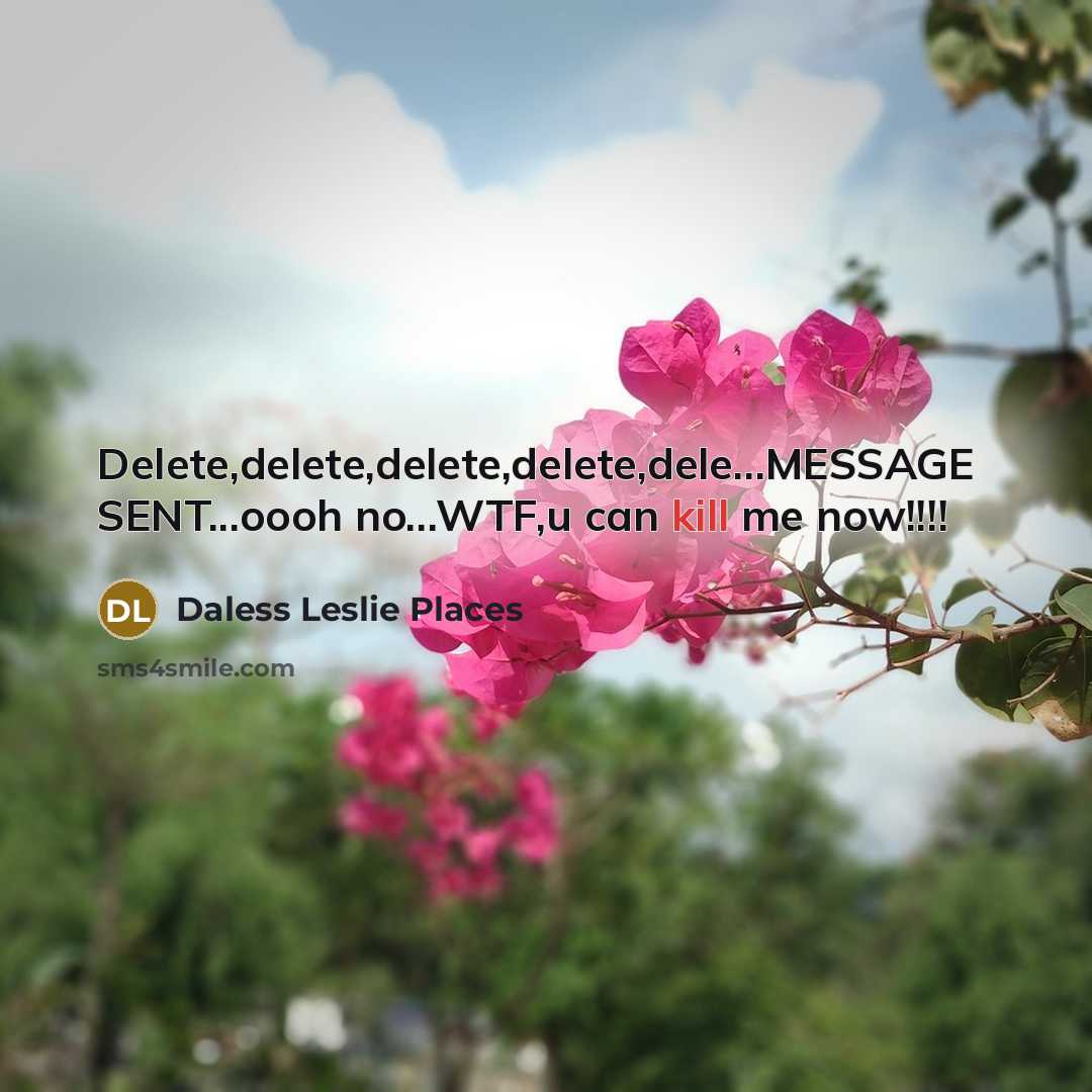 “Delete,delete,delete,delete,dele…MESSAGE SENT...oooh no...WTF,u can kill me now!!!!” quote by Daless Leslie Places