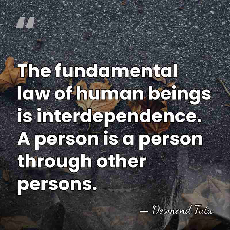 The fundamental law of human beings is interdependence. A person is a&hellip; - Desmond Tutu