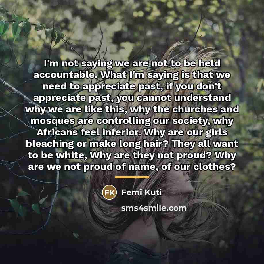 “I'm not saying we are not to be held accountable.…” quote by Femi Kuti