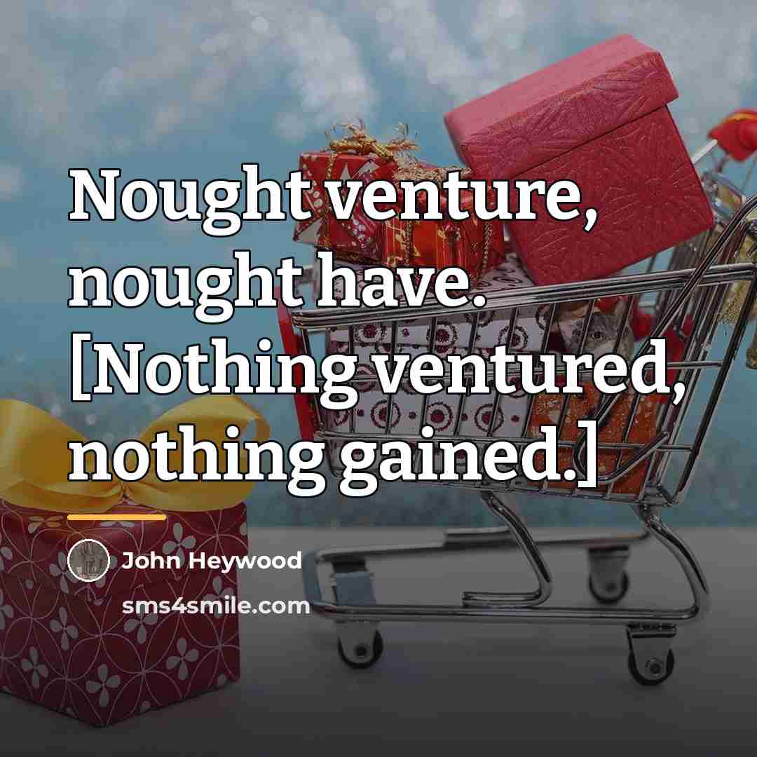 “Nought venture, nought have. [Nothing ventured, nothing gained.]…” quote by John Heywood