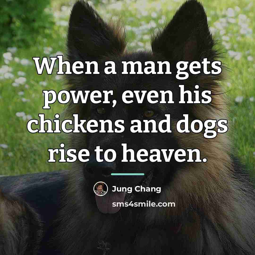 “When a man gets power, even his chickens and dogs…” quote by Jung Chang