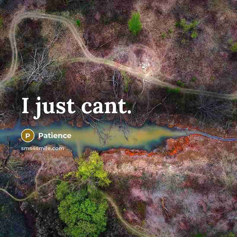 “I just cant.…” quote by Patience