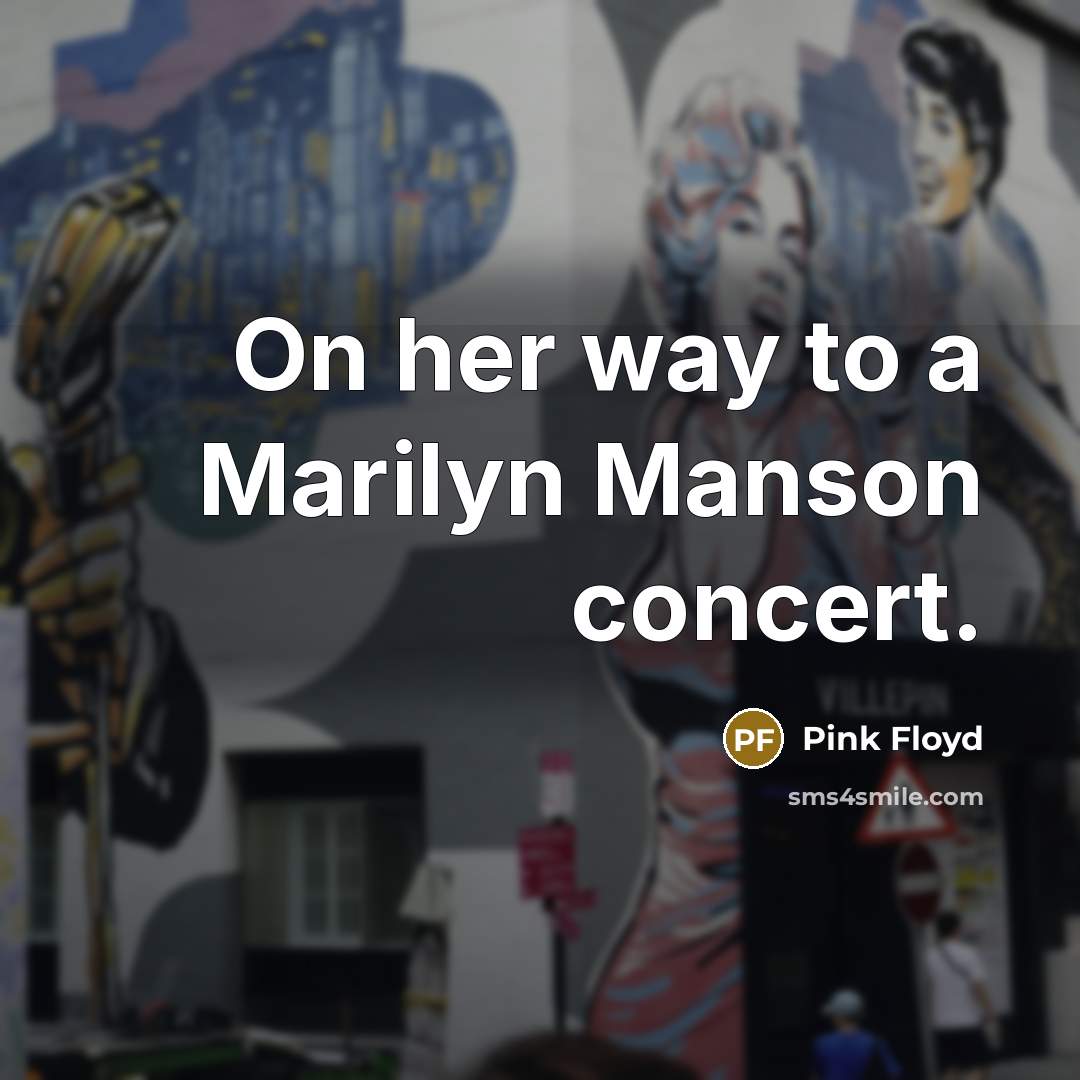 “On her way to a Marilyn Manson concert.” quote by Pink Floyd