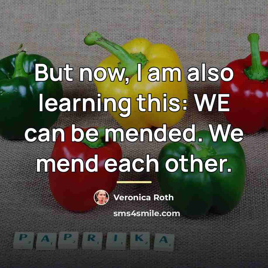 “But now, I am also learning this: WE can be…” quote by Veronica Roth