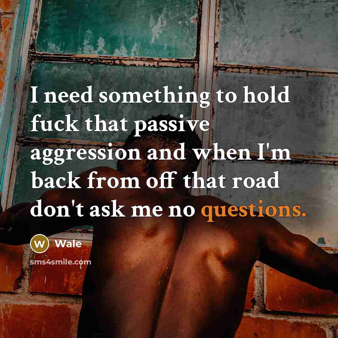 “I need something to hold fuck that passive aggression and when I'm back from off that road don't ask me no questions.” quote by Wale