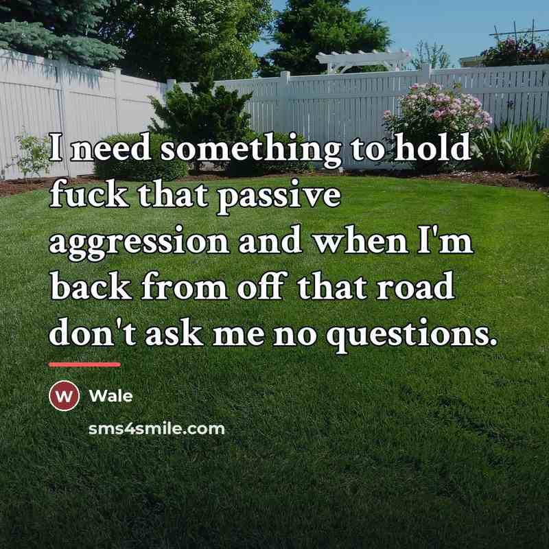 “I need something to hold fuck that passive aggression and…” quote by Wale