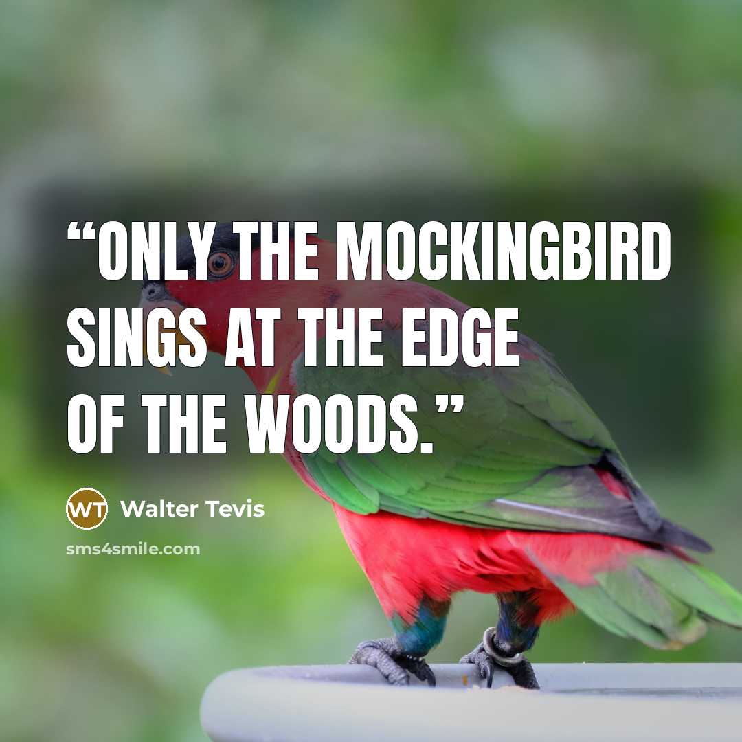“Only the mockingbird sings at the edge of the woods.” quote by Walter Tevis