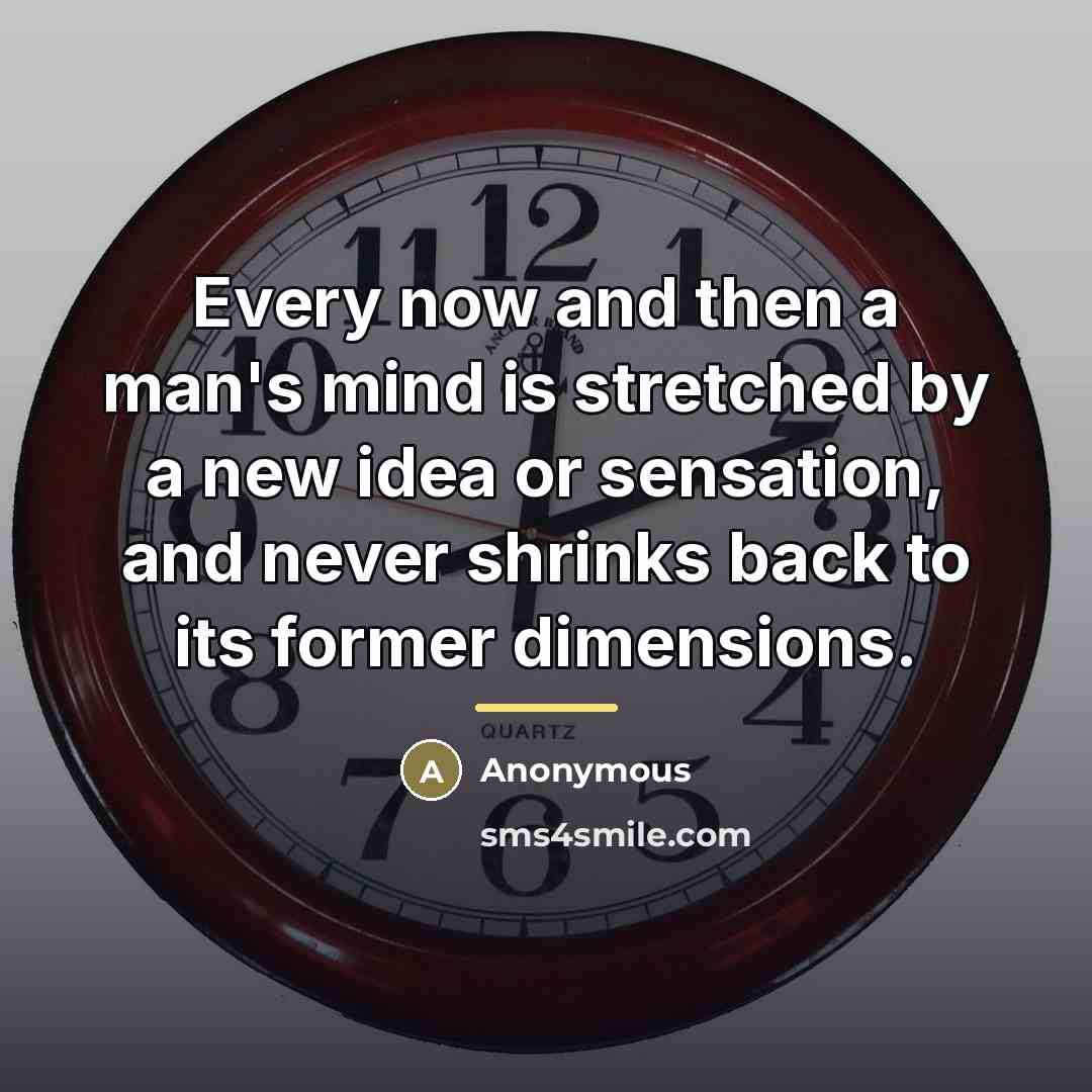 “Every now and then a man's mind is stretched by…” quote by Anonymous