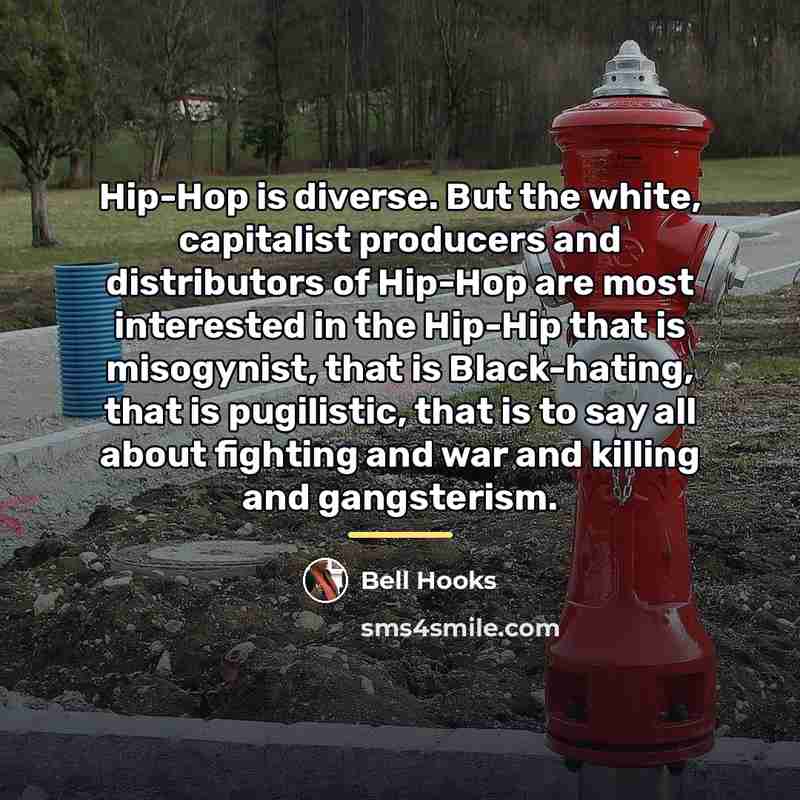 “Hip-Hop is diverse. But the white, capitalist producers and distributors…” quote by Bell Hooks