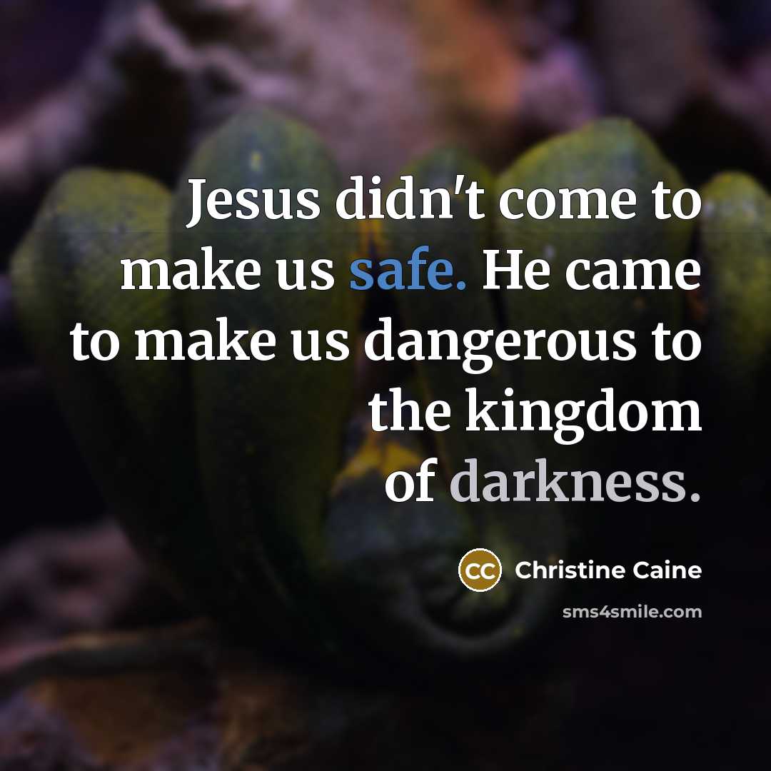 “Jesus didn't come to make us safe. He came to…” quote by Christine Caine