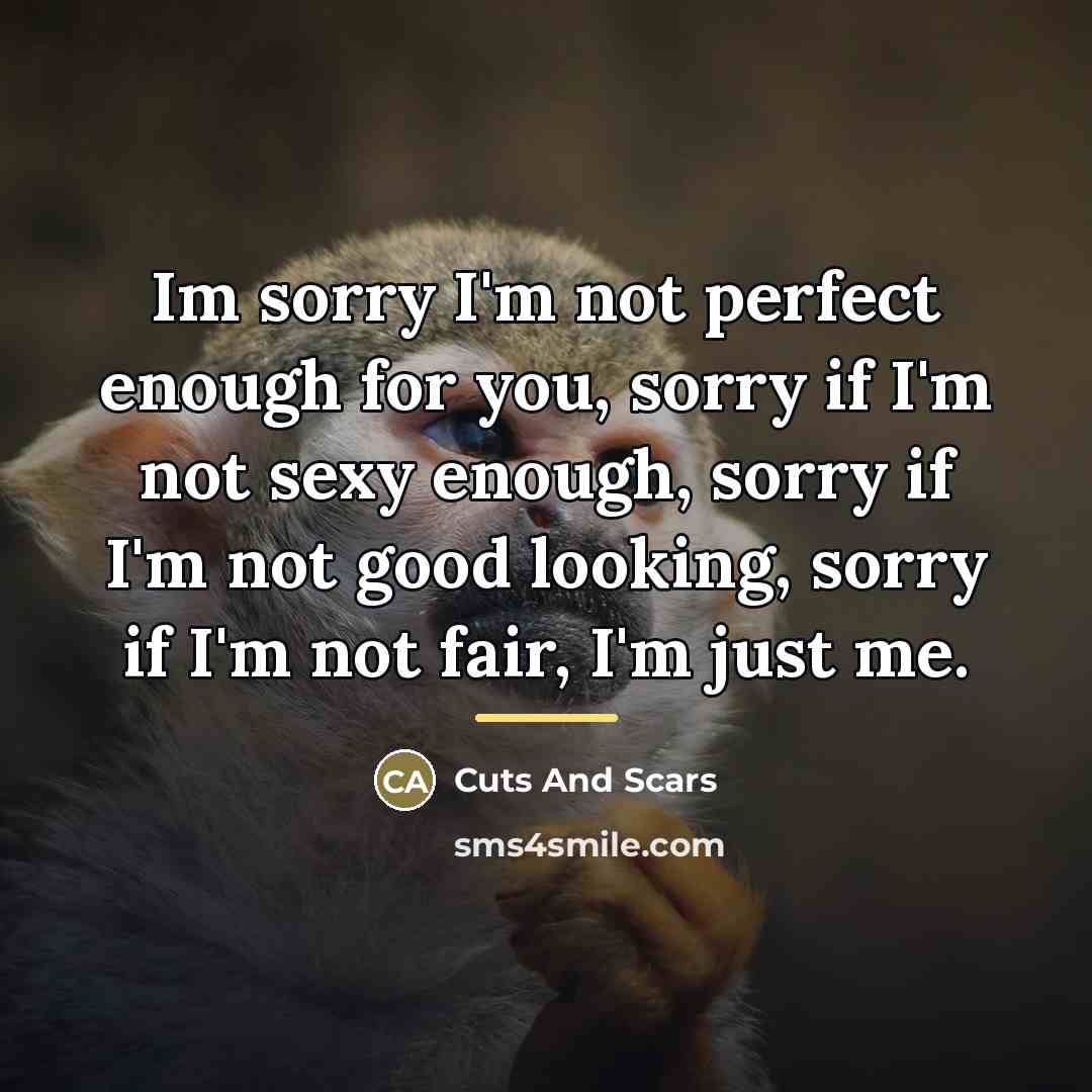 “Im sorry I'm not perfect enough for you, sorry if…” quote by Cuts And Scars
