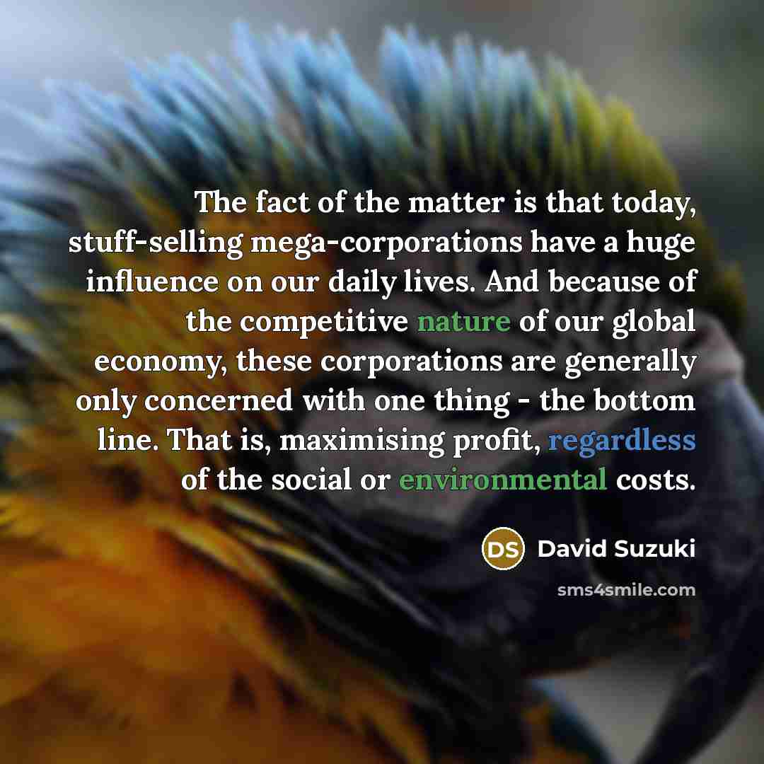 “The fact of the matter is that today, stuff-selling mega-corporations…” quote by David Suzuki