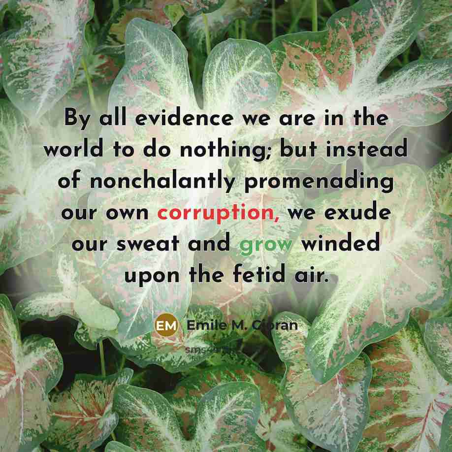 “By all evidence we are in the world to do…” quote by Emile M. Cioran