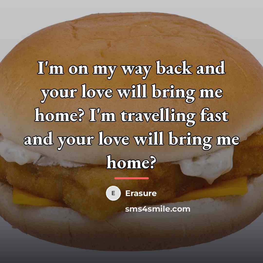 “I'm on my way back and your love will bring…” quote by Erasure