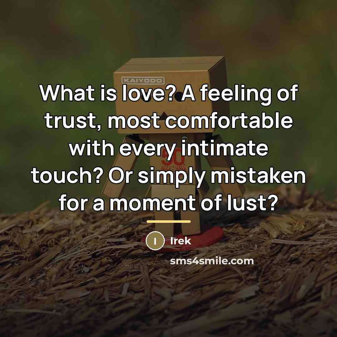 “What is love? A feeling of trust, most comfortable with…” quote by Irek