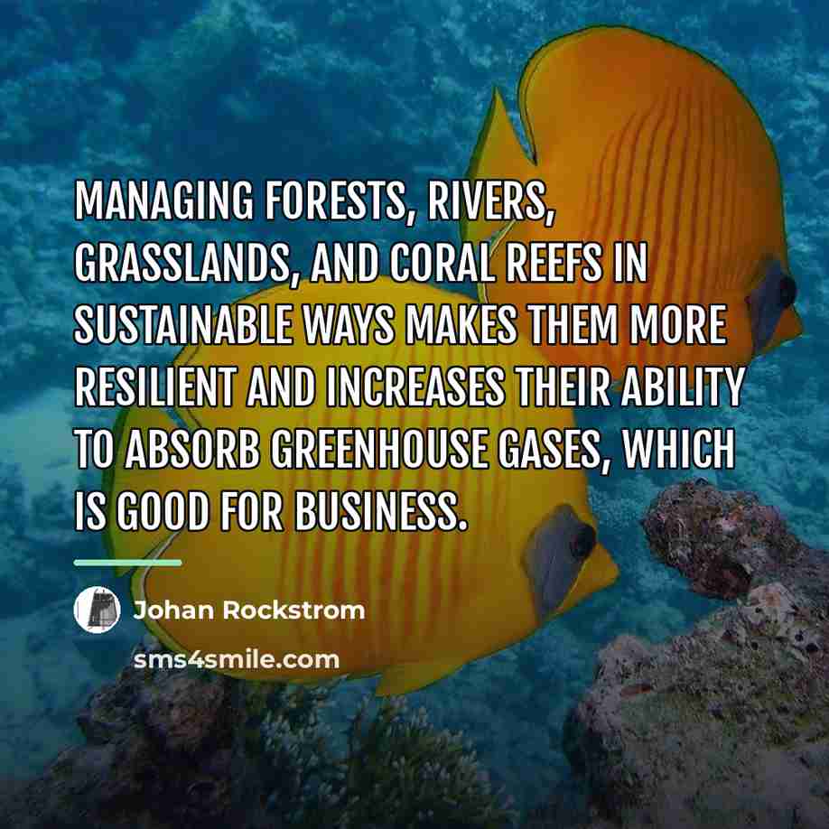 “Managing forests, rivers, grasslands, and coral reefs in sustainable ways…” quote by Johan Rockstrom