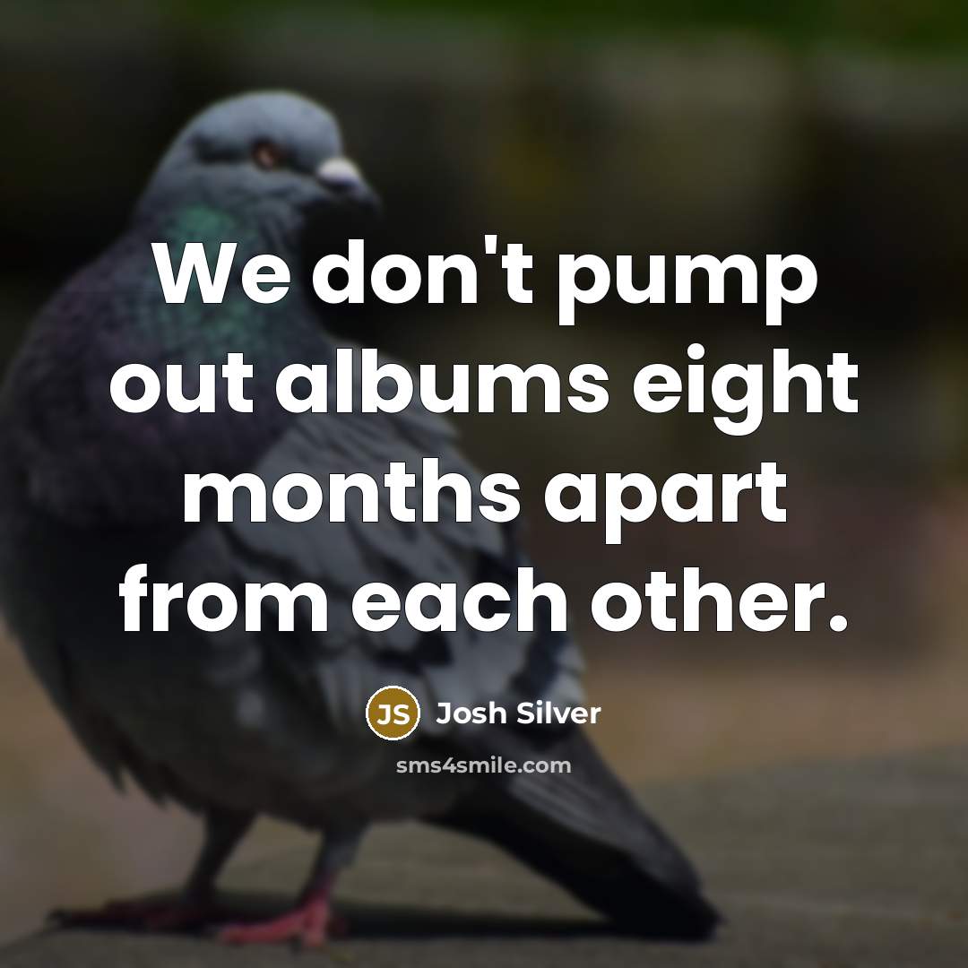 “We don't pump out albums eight months apart from each…” quote by Josh Silver