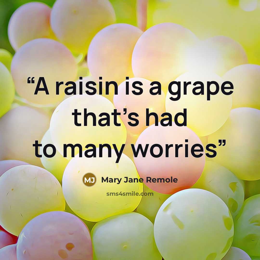“A raisin is a grape that's had to many worries” quote by Mary Jane Remole