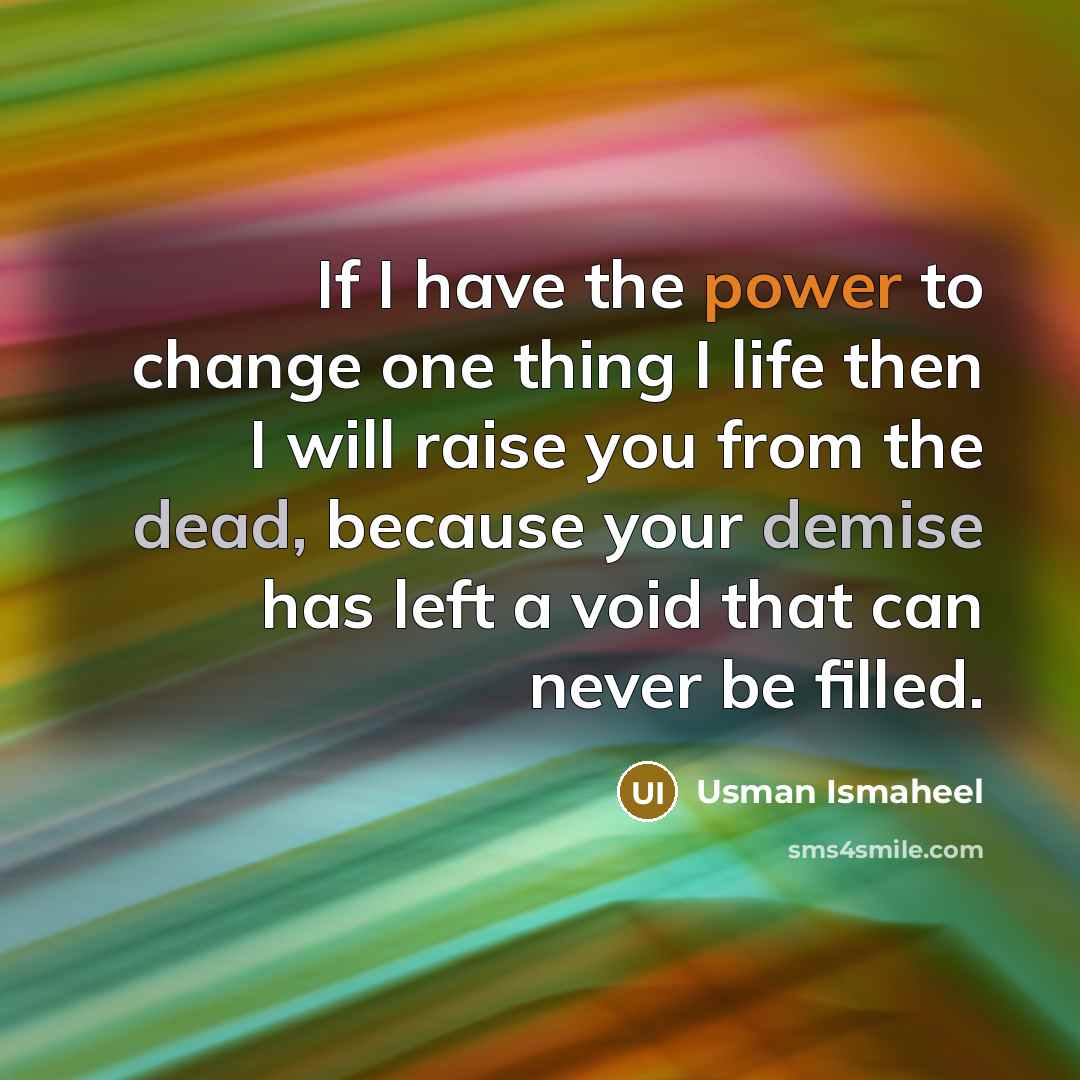 “If I have the power to change one thing I life then I will raise you from the dead, because your demise has left a void that can never be filled.” quote by Usman Ismaheel