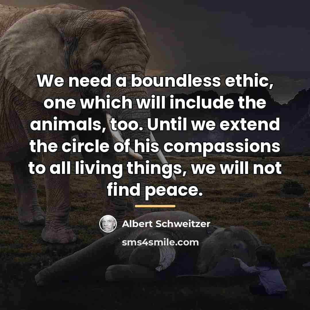 “We need a boundless ethic, one which will include the…” quote by Albert Schweitzer