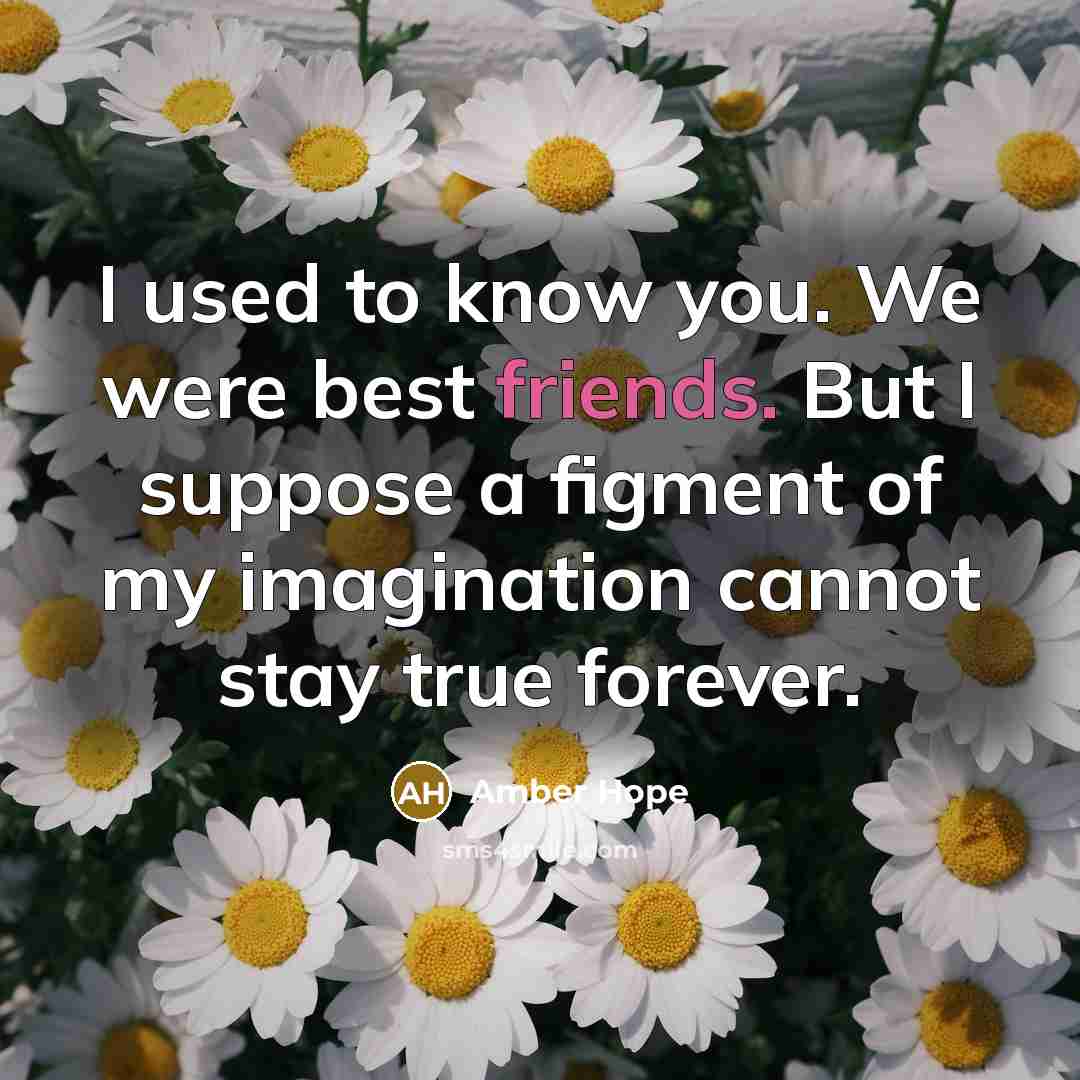 “I used to know you. We were best friends. But…” quote by Amber Hope