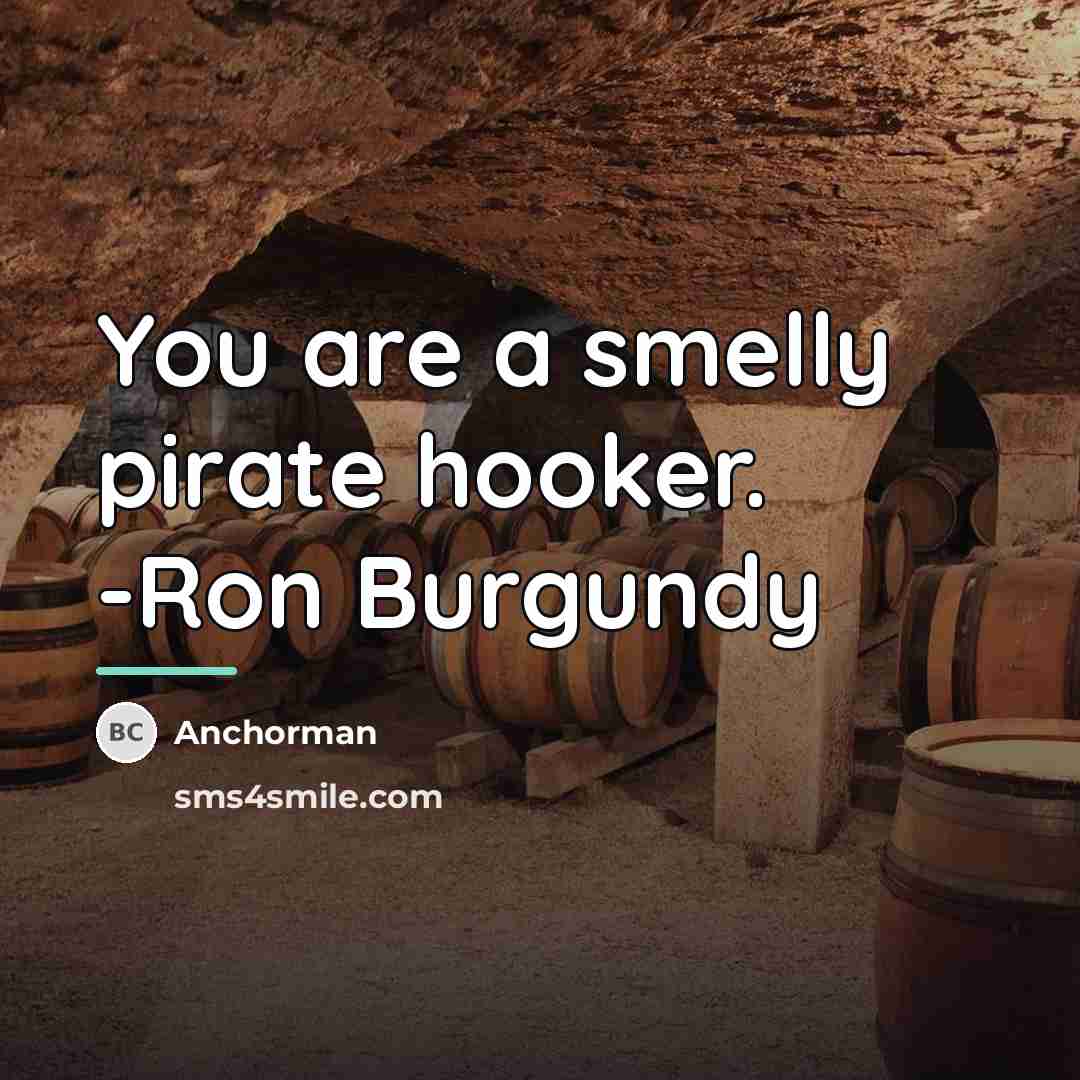 “You are a smelly pirate hooker. -Ron Burgundy…” quote by Anchorman