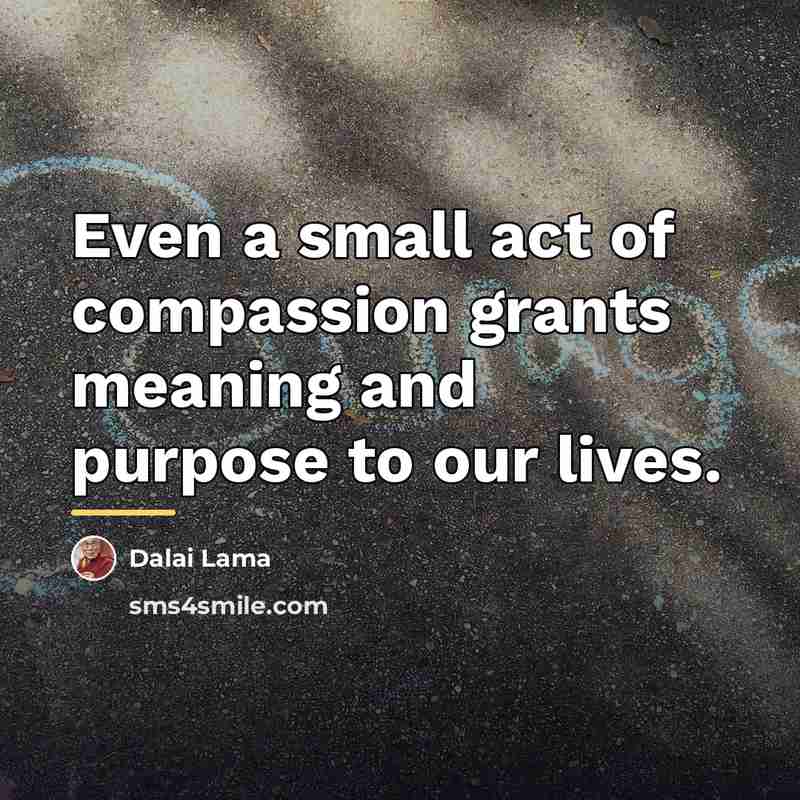 “Even a small act of compassion grants meaning and purpose…” quote by Dalai Lama