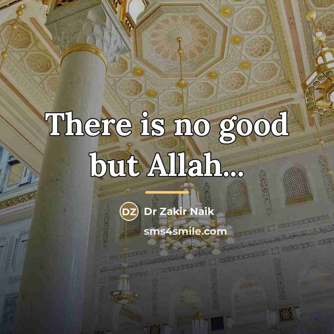 “There is no good but Allah...…” quote by Dr Zakir Naik