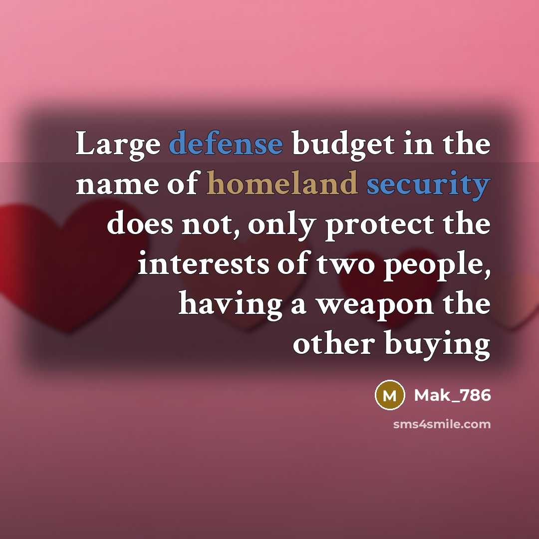 “Large defense budget in the name of homeland security does…” quote by Mak_786