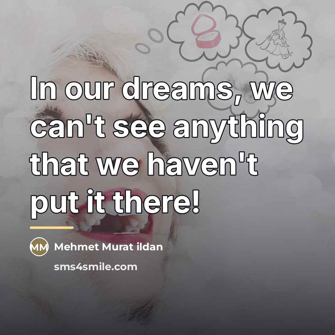 “In our dreams, we can't see anything that we haven't…” quote by Mehmet Murat Ildan