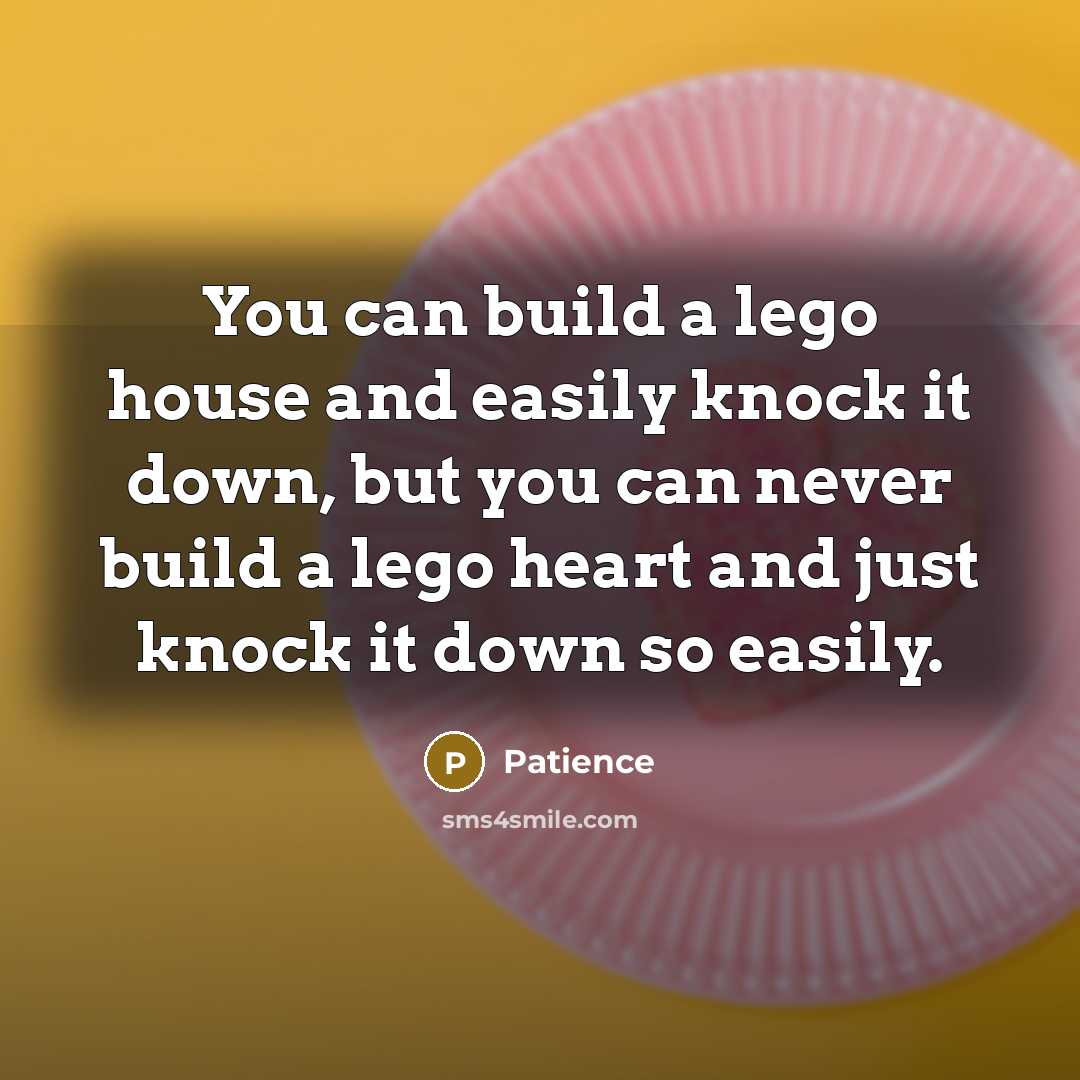 “You can build a lego house and easily knock it…” quote by Patience