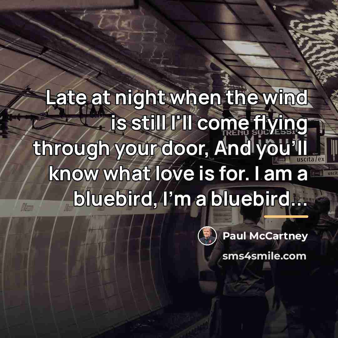 “Late at night when the wind is still I'll come…” quote by Paul McCartney