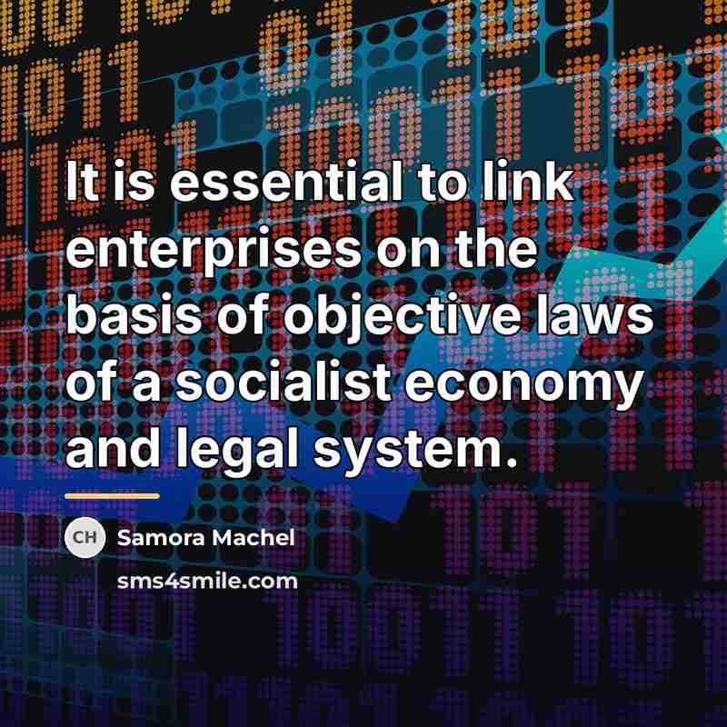 “It is essential to link enterprises on the basis of…” quote by Samora Machel