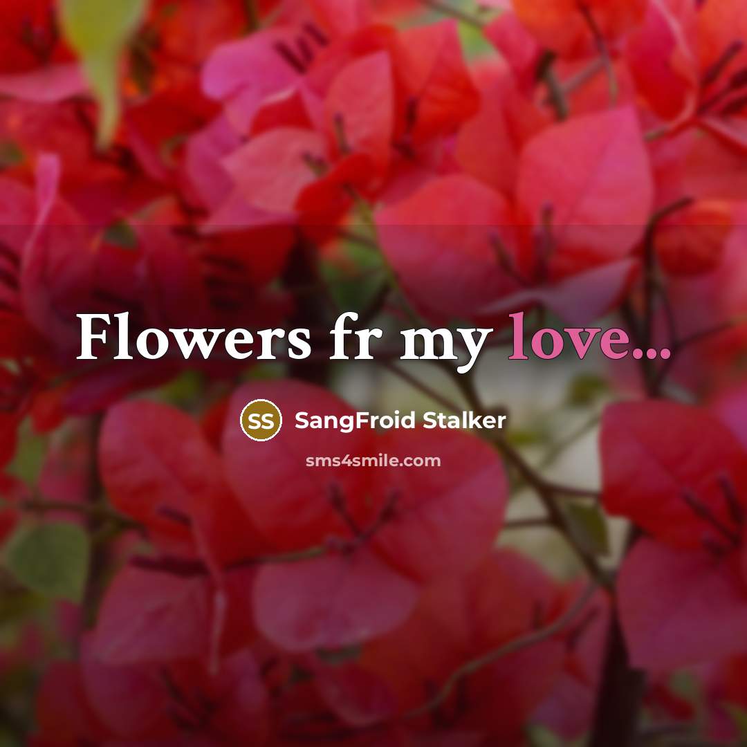 “Flowers fr my love...…” quote by SangFroid Stalker