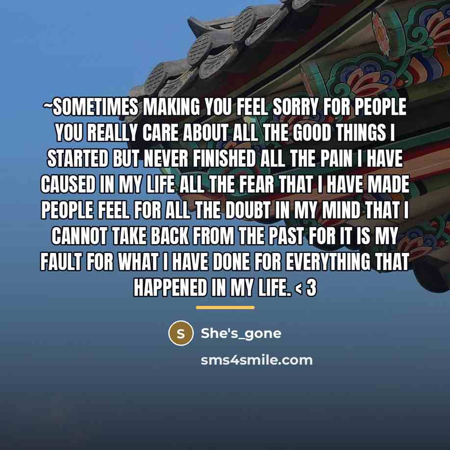 “~Sometimes making you feel sorry for people you really care…” quote by She's_gone