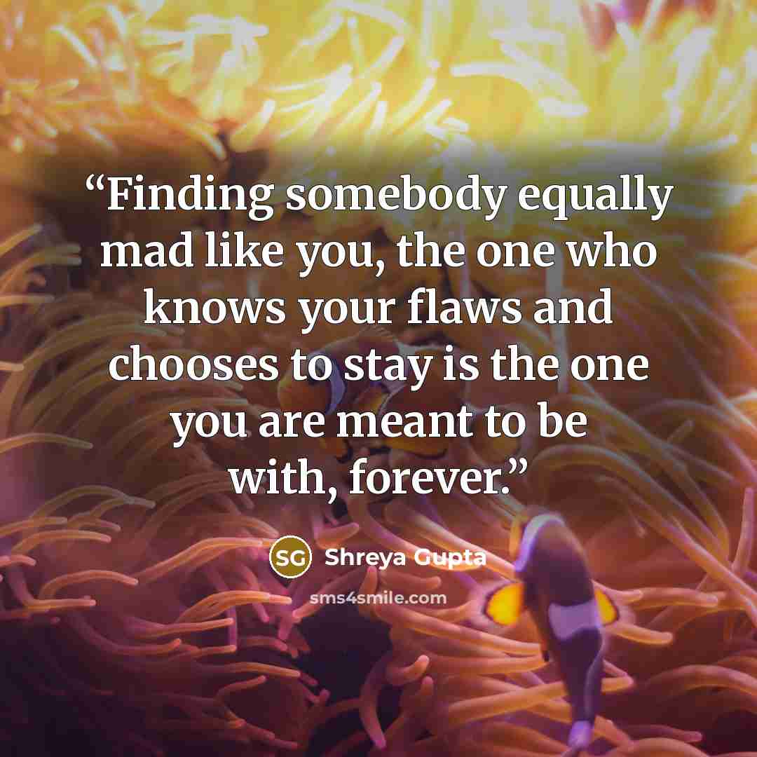 “Finding somebody equally mad like you, the one who knows your flaws and chooses to stay is the one you are meant to be with, forever.” quote by Shreya Gupta